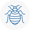 Bed Bug Extermination In Tarporley